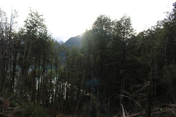 Patagonia, Chile, sur, austral, lago verde, carretera austral, bosque, nativo, autóctono, campo, viaje, vacaciones, descanso, naturaleza.