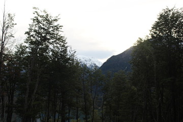 Patagonia, Chile, sur, austral, lago verde, carretera austral, bosque, nativo, autóctono, campo, viaje, vacaciones, descanso, naturaleza..