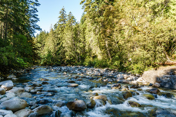 Beautiful river in forest nature Peaceful canadian background.