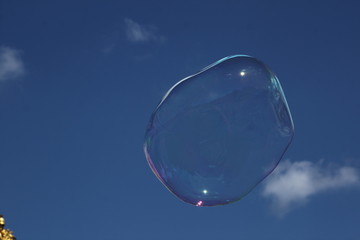 soap bubbles in the sky