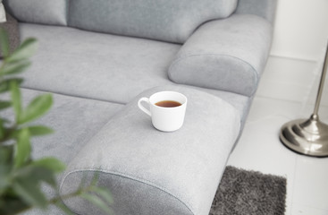 Fototapeta na wymiar Scandinavian style livingroom with fabric sofa, sofa table. morning image with plant. sofa table on the lug.