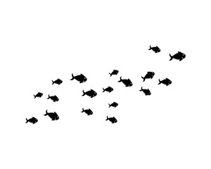 set of abstract fish background template vector illustration design 