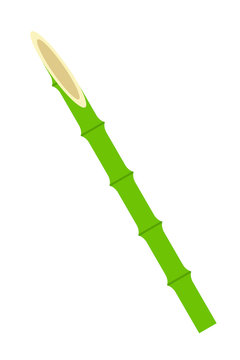 green bamboo stalk isolated on white clip art preview