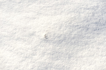 The texture of the snow close up. WInter background