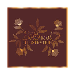 botanical illustration label with plants