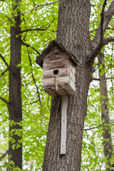 Wooden birdhouse on a tree.