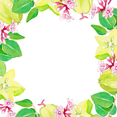 Fresh Starfruit Frame Watercolor Style