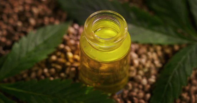 Slow motion close up of scientist with mask and gloves checking and analizing with a dropplet a biological and ecological hemp plant used for herbal pharmaceutical cbd oil in a laboratory. Shot in 8K.