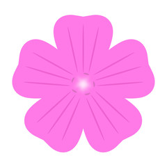 アケボノフウロ