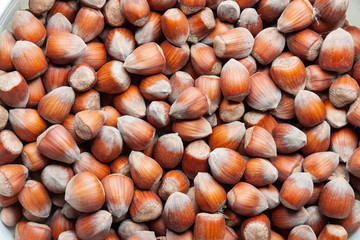 hazelnuts on a wooden background