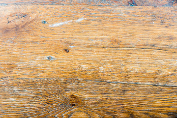 Wood texture closeup