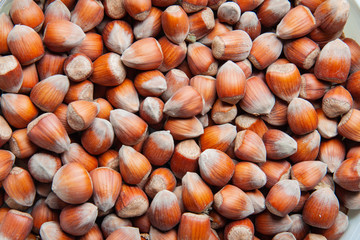hazelnuts on wooden background