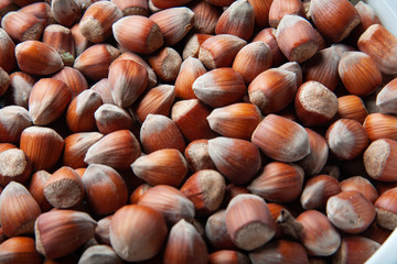 hazelnuts on wooden background