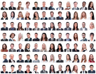 portraits of successful employees isolated on a white