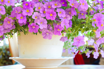 Small flowers at sunny day