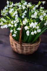 Basket full of snowdrops