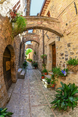 Fototapeta premium Spello (Perugia), the awesome medieval town in Umbria region, central Italy, during the floral competition after the famous Spello's intfiorate.