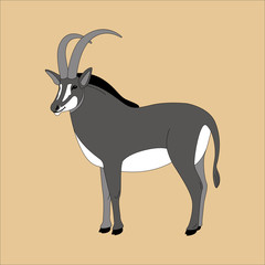 antelope vector illustration, lining draw