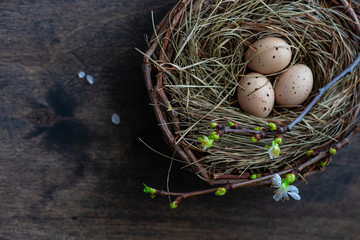 Easter holiday card concept