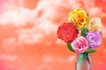 Beautiful live rose bouquet bouquet in glass vase with blank place for your text on left on cloudy sky background.