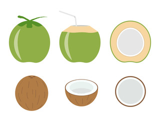 Vector illustration of set fresh coconut isolated on white background