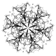 Leafless branch mandala