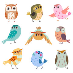 Collection d& 39 Owlets mignons, colorés Adorable Owl Birds Vector Illustration sur fond blanc