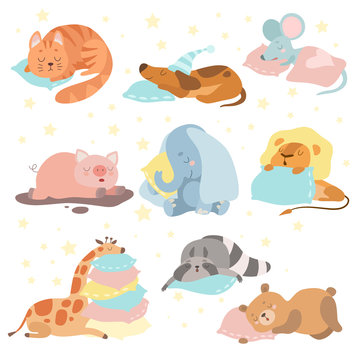 Cute Animals Sleeping Set, Cat, Dog, Mouse, Pig, Elephant, Lion, Giraffe, Raccoon, Bear Lying on Pillows Vector Illustration