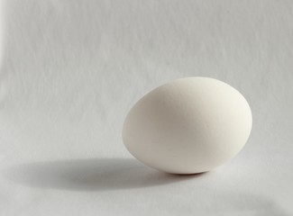 egg on black background