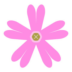 アケボノセンノウ