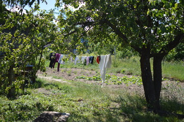children's clothes are dried in the garden near the temporary shelter of refugees.