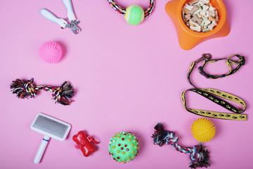 Flat lay composition with accessories for dog and cat, toys, dry food, biscuits, cookies, brushes, hairbrushes, balls, collar on pink background. Pet care