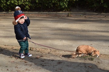 Infant to take a walk with Long Coat Chihuahua 1 year 7 months