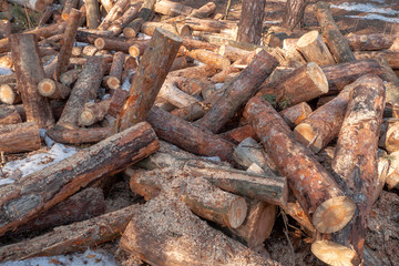 Fototapeta premium Stacked firewood in a pile outdoors close-up. A pile of chopped firewood ready for stacking. Preparation heating house in winter.
