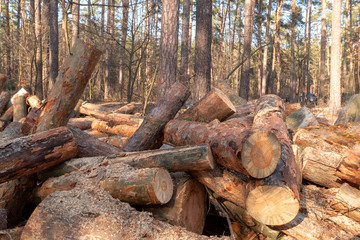 Stacked firewood in a pile outdoors close-up. A pile of chopped firewood ready for stacking. Preparation heating house in winter.