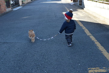 Infant to take a walk with Long Coat Chihuahua 1 year 7 months
