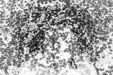 小花に影の自画像