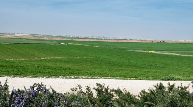 lush agricultral fields in the western negev in israel with gaza city and a partly cloudy sky in the background