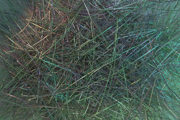 Illustrations of CGI composition, messy strings, virtual backdrop for graphic design or wallpapers. 3D render.