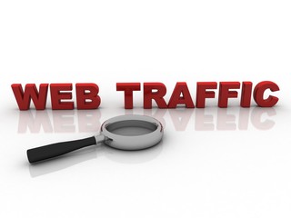 3d illustration Web traffic search