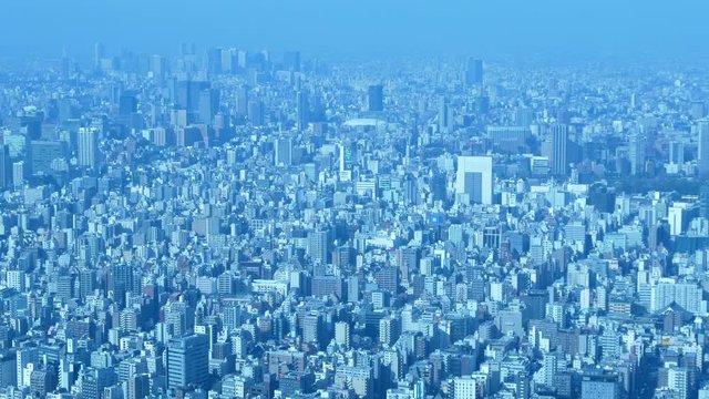 tokyo201902D4x