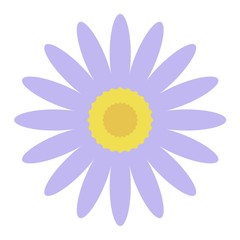 アスターアルピヌス