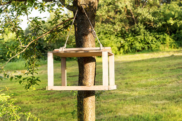 Feeder for birds on the tree.