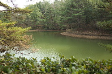 Fototapeta na wymiar 日本の美しい池