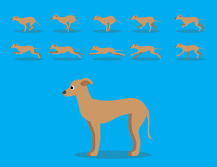 Animal Animation Sequence Dog Greyhound Cartoon Vector