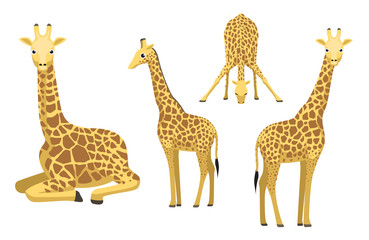 Cute Giraffe Sitting Cartoon Vector Illustration