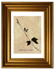 Leaves and stem of Virginia creeper