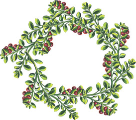 Hand drawn watercolor berry spring isolated on white