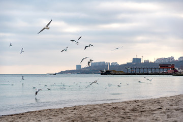 Fototapeta na wymiar Odessa beach in winter