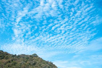 Clouds and sky and trees